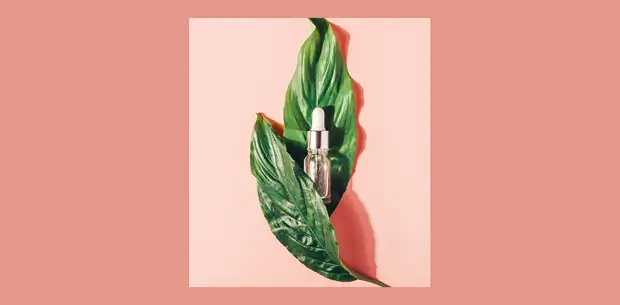 Натуральная косметика VS органика: рассказываем, в чем разница