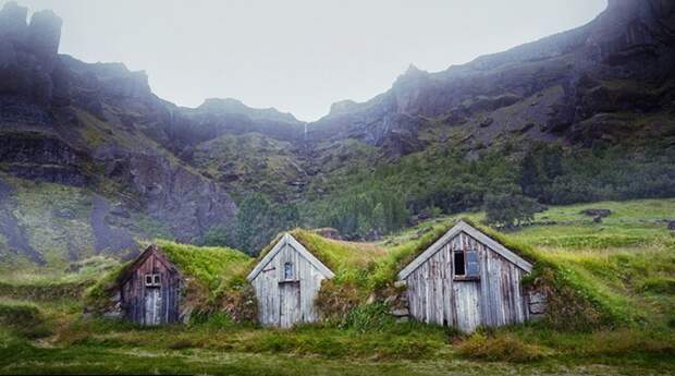 Традиционные исландские торфяные дома-землянки покрытые дерном. | Фото: boredpanda.com.