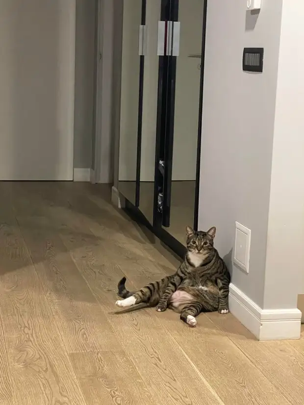 : 22      16 - BigPicture.ru