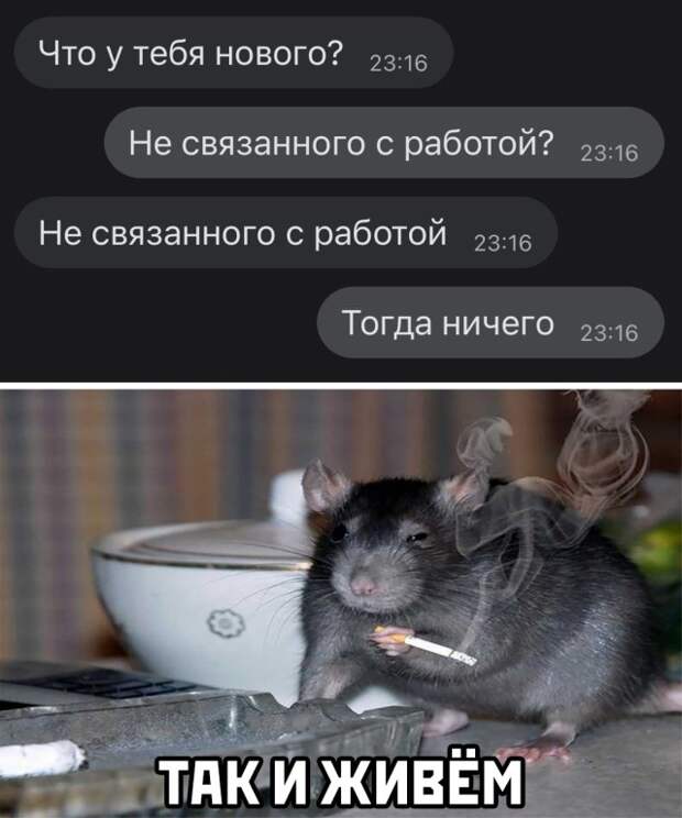 Смешные картинки вечер 28 мая 2021