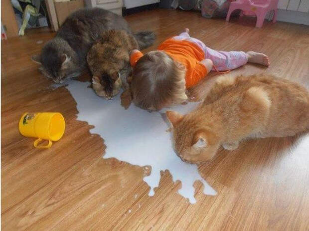 Малыши, которых не кормят