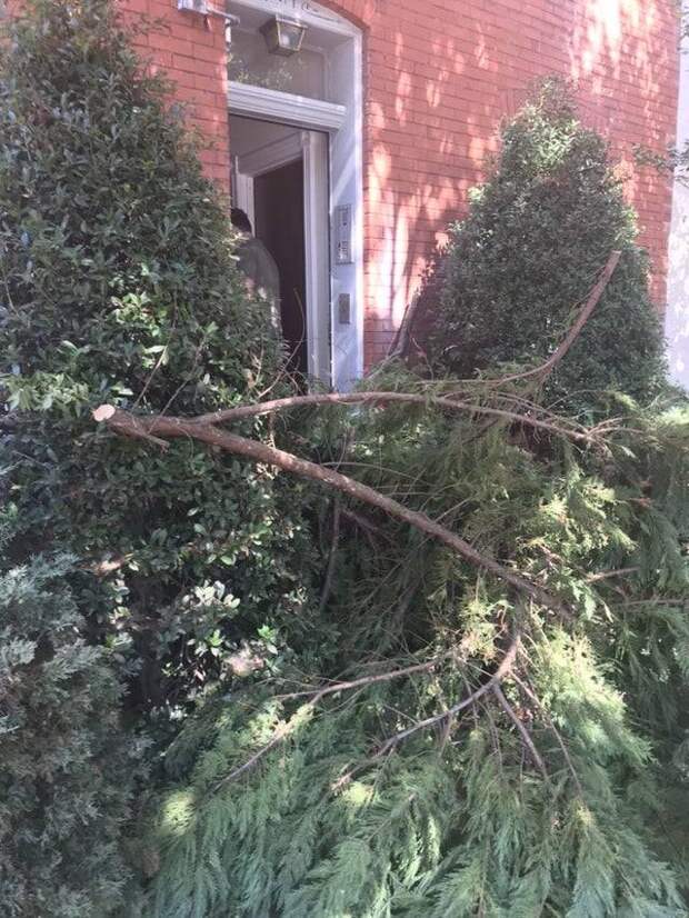 13 фото, на которых развернулась настоящая драма
