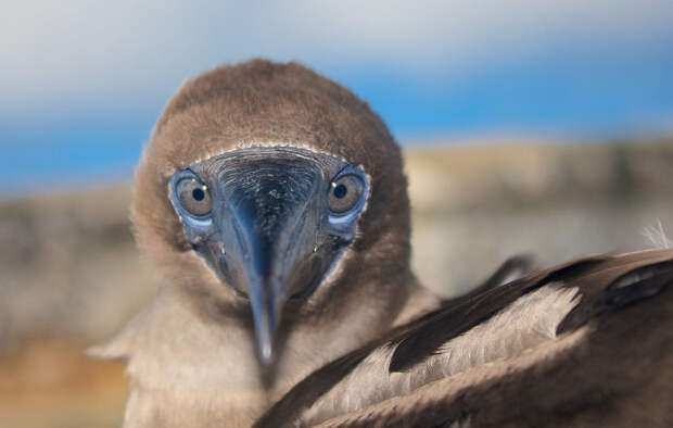 NatGeoContest27 Фотоконкурс National Geographic Photo Contest 2013