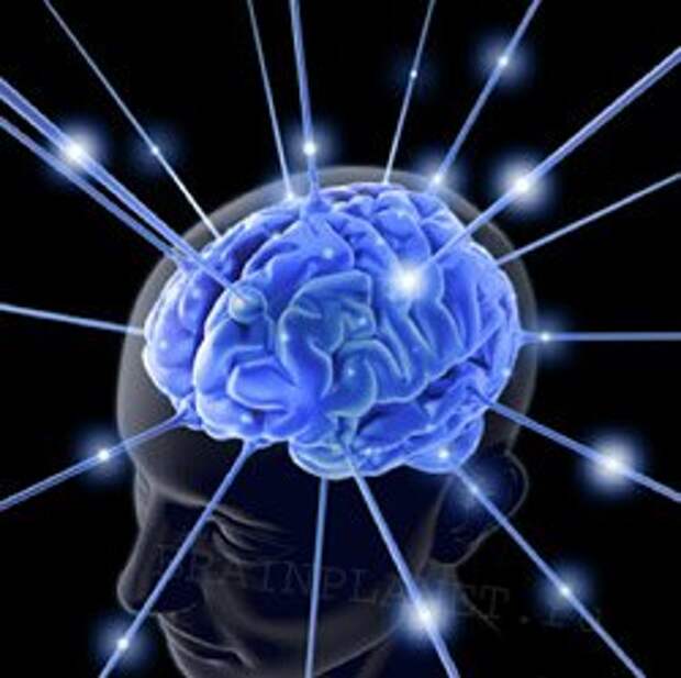 http://brainplanet.ru/uploads/posts/2011-08/1314661912_mnemonics-sm.jpg