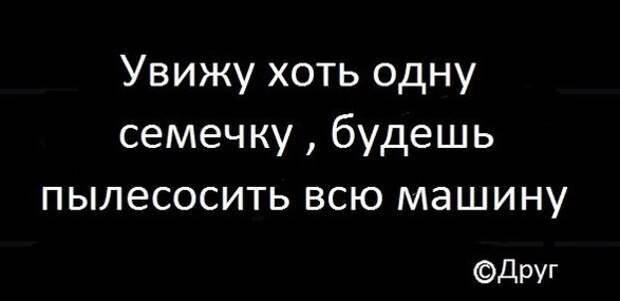 Подборка автоприколов. Часть 156 автоприколы, приколы