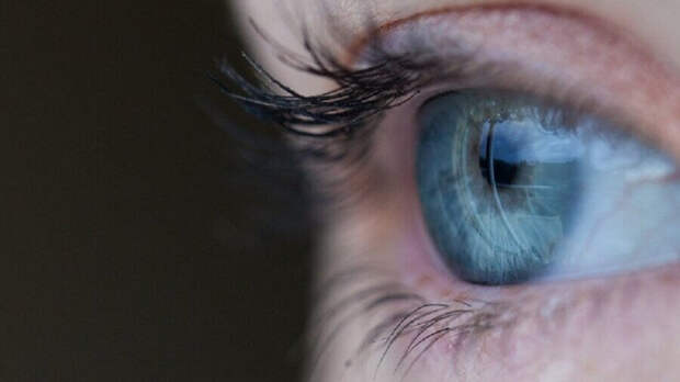 gene therapy sight