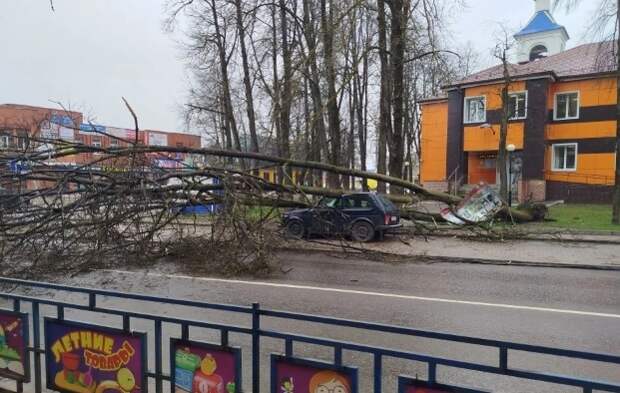 В Смоленске коммунальщики переведены в режим повышенной готовности из-за непогоды