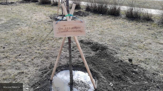 Петербуржцы посадили сакуру в Малоохтинском парке на общегородском субботнике