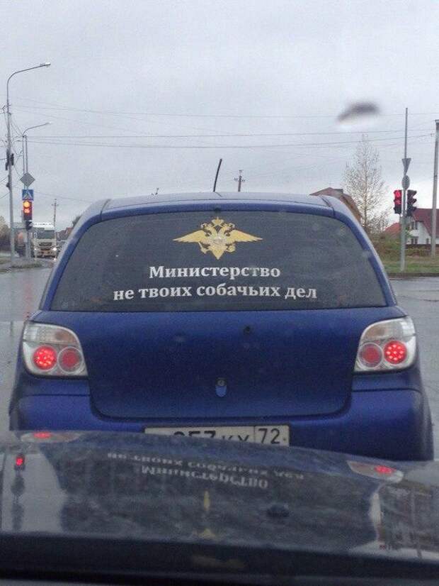 Приколы
