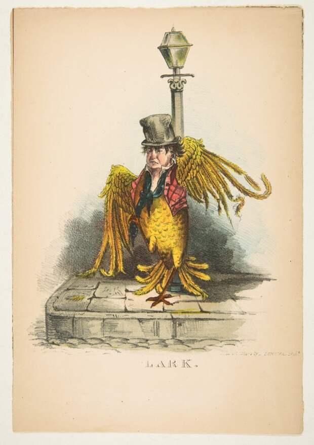 natural-history-of-the-human-race-lark-768x1090.jpg natural-history-of-the-human-race-lark-768x1090.jpg