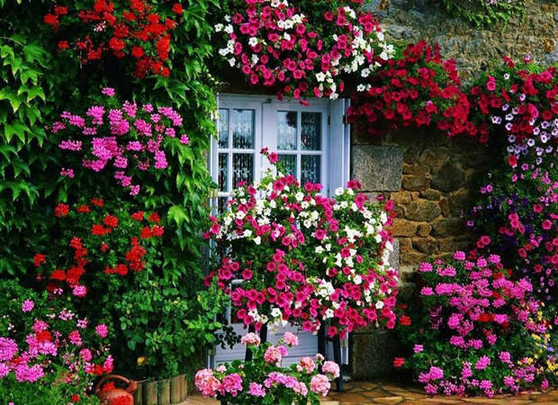 15 цветочных спецэффектов для украшения сада