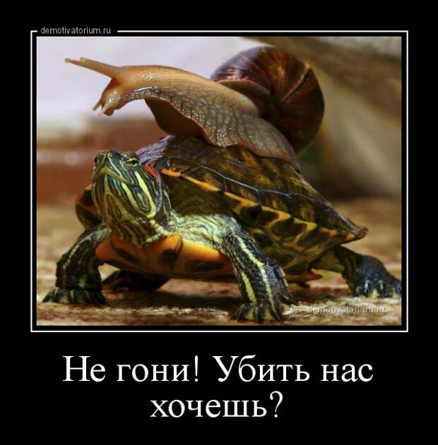Демотиваторы-приколы (16 фото)