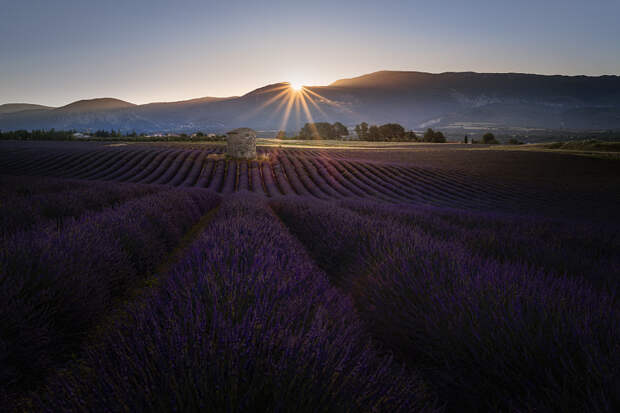 DUFT DER PROVENCE... by Andreas Bobanac on 500px.com