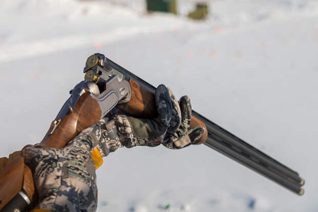 Весеннюю охоту предложили ограничить в минприроды Новосибирска