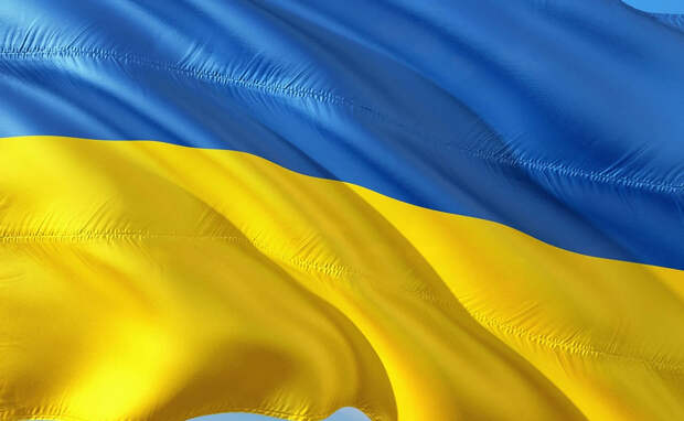 Чешский дипломат Друлак: Украина подпишет мир на условиях капитуляции