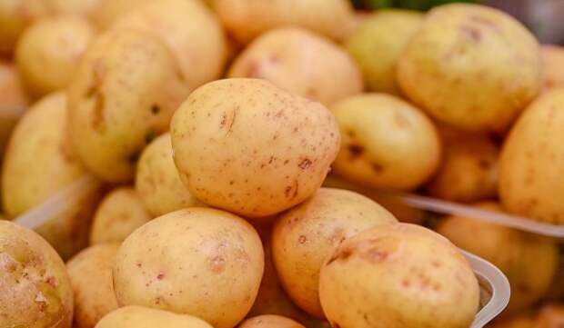 Участник московской ярмарки оказывает поддержку бойцам СВО