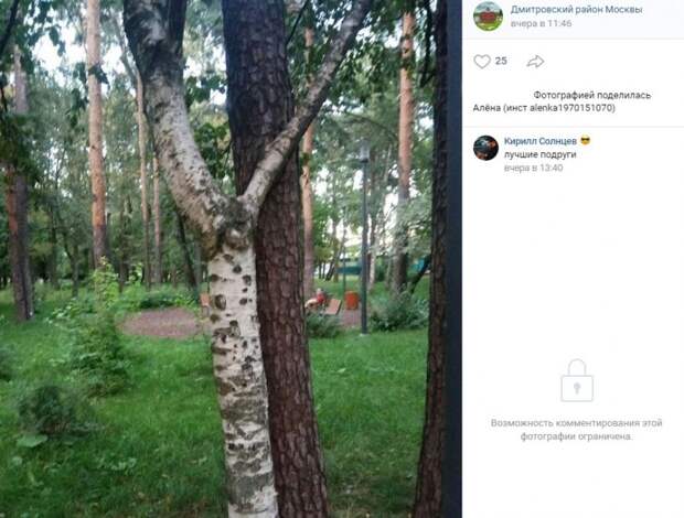 Фото дня: «лучшие подруги» на Ангарских