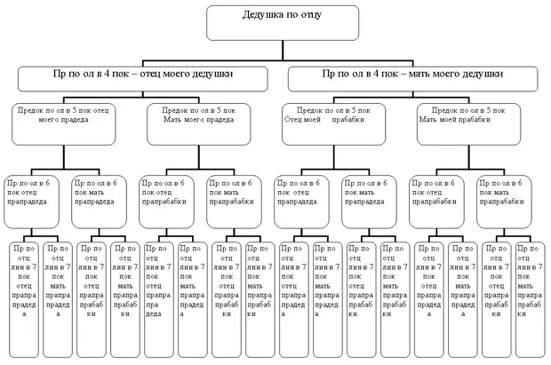 Схема рода до 7 колена