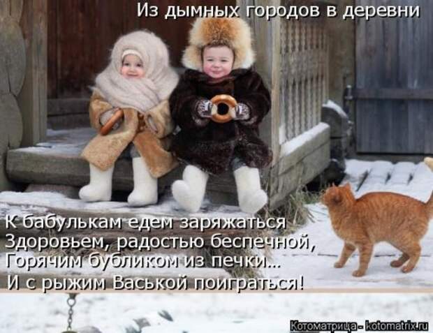 Новая котоматрица (39 фото)
