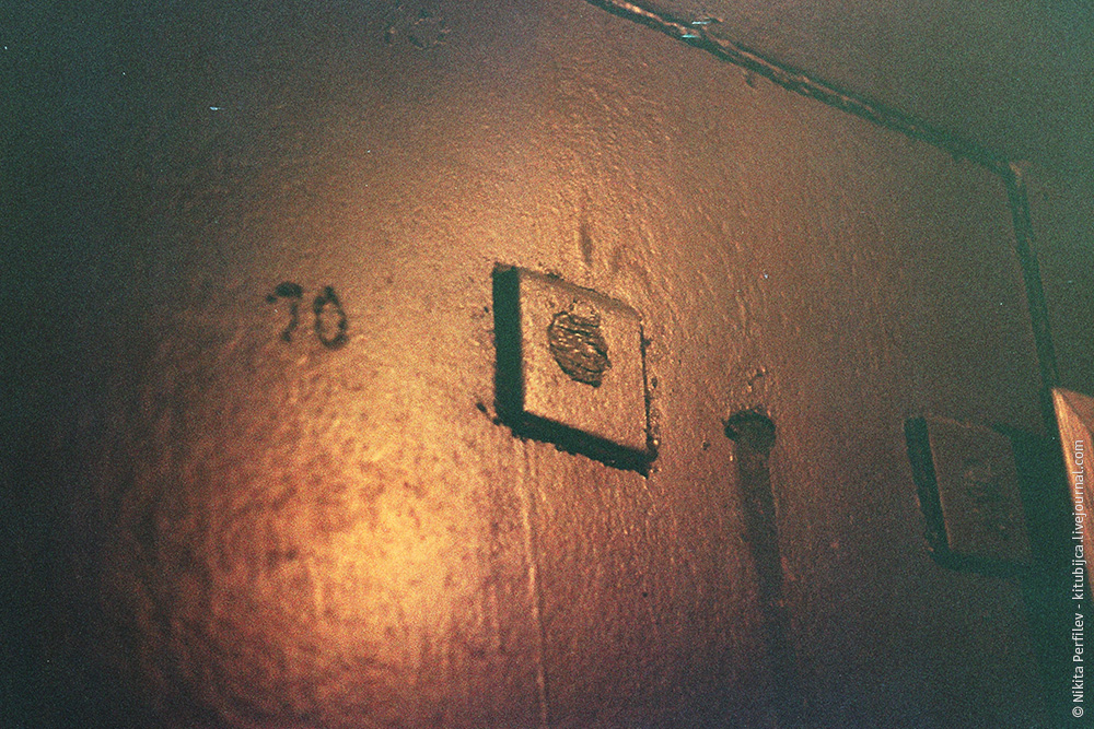 5 5