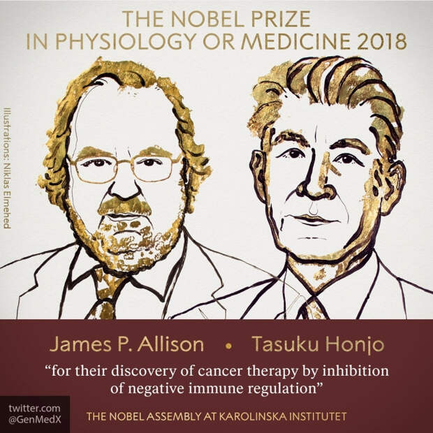 Ученым-иммунологам вручили Нобелевскую премию за революцию в лечении рака