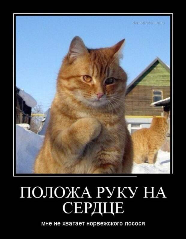 Демотиваторы. Классная подборка!