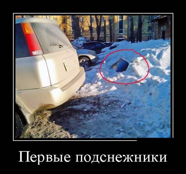 Демотиваторы