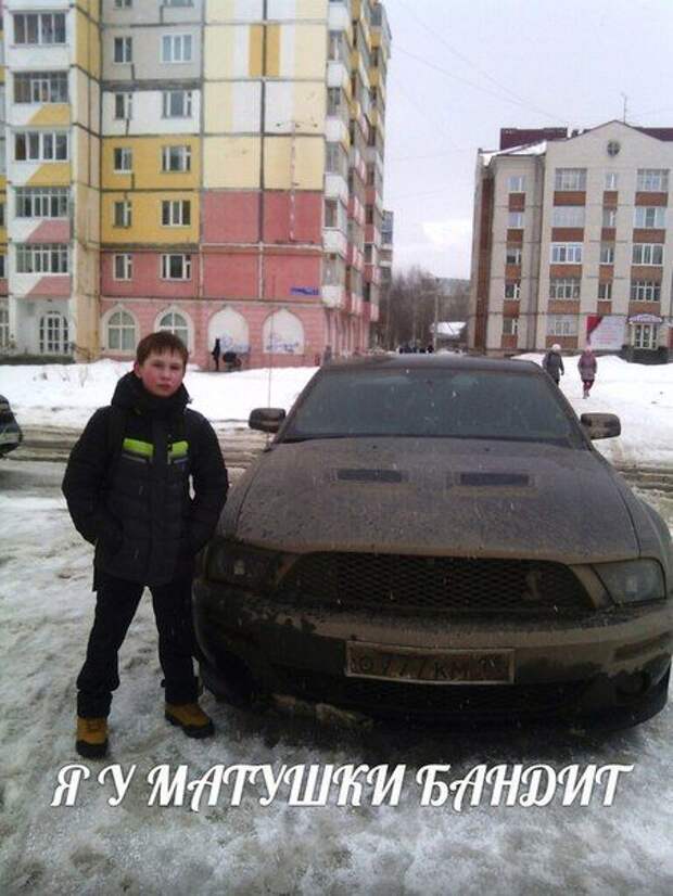 Прикольные картинки. Дневной выпуск (56 фото) Прикольные картинки. Дневной выпуск (56 фото)