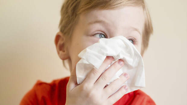 Ученые установили, какие носы лучше борются с простудой