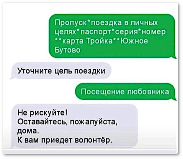 изображение: Пропуск .. поездка в личных целях ... паспорт .. серия .. номер .. карта Тройка .. Южное Бутово - Уточните цель поездки #CМС приколы