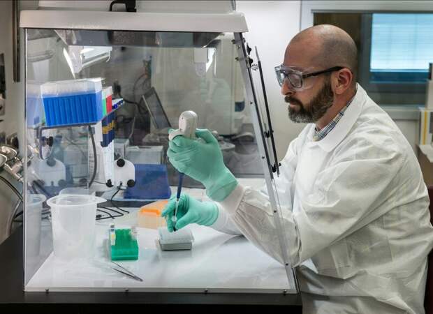 Ученые из Новосибирского государственного университета запатентовали наночастицы для лечения онкологии