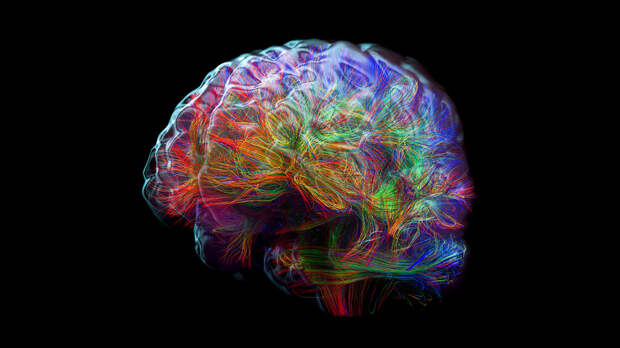 Психолог Баленко рассказала о пользе «здорового хаоса» для продуктивности мозга