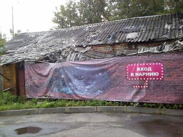 Прикольные картинки Прикольные картинки