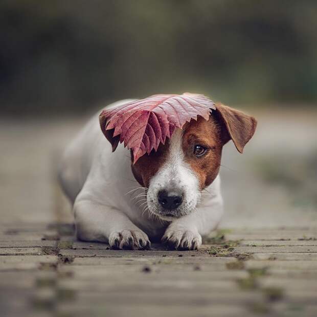 Подборка зачетных картинок и ярких фотографий из сети