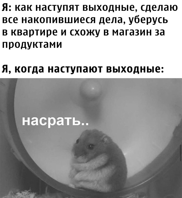 Пришли выходные, чем заняться