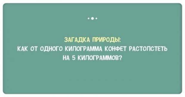В шутку и всерьез о лишнем весе и диете