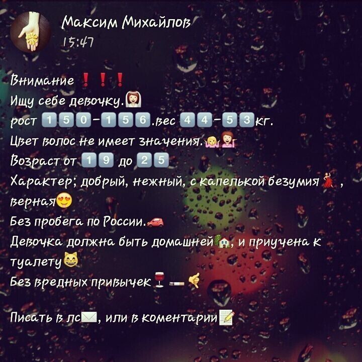 Он точно жену ищет, а не кошку? Он точно жену ищет, а не кошку?