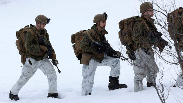 Посольство РФ примет меры в ответ на операцию НАТО Arctic Sentry