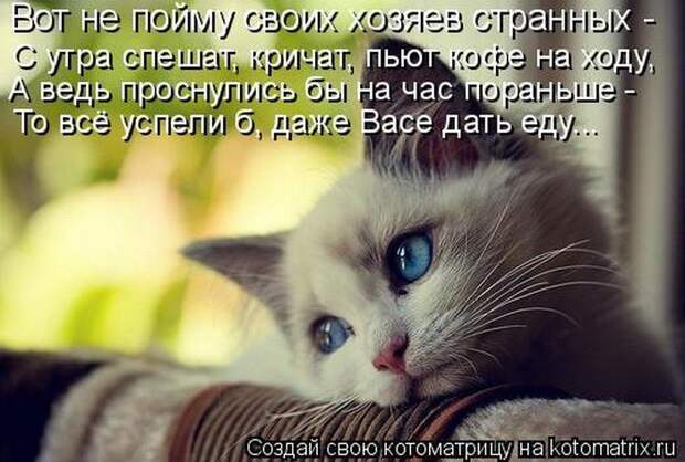 Мысли вслух :)