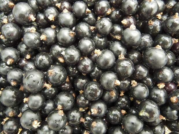 Летние продукты, которые помогут освежиться