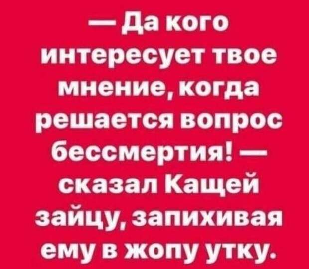 Мнение Мнение