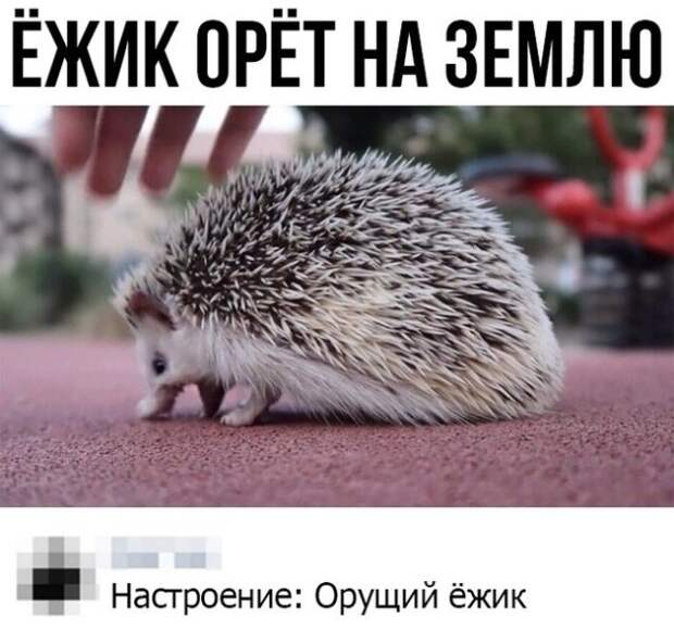 Прикольные картинки абавсём:D