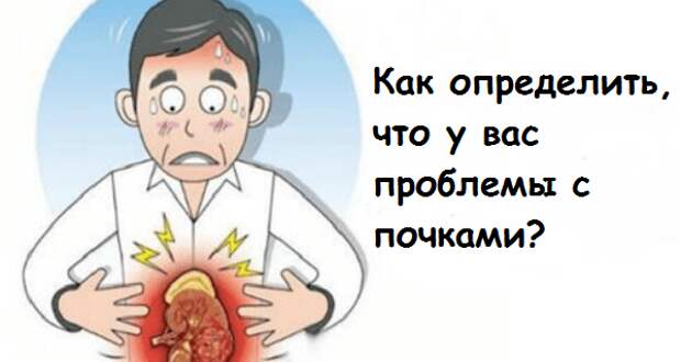 vfgd