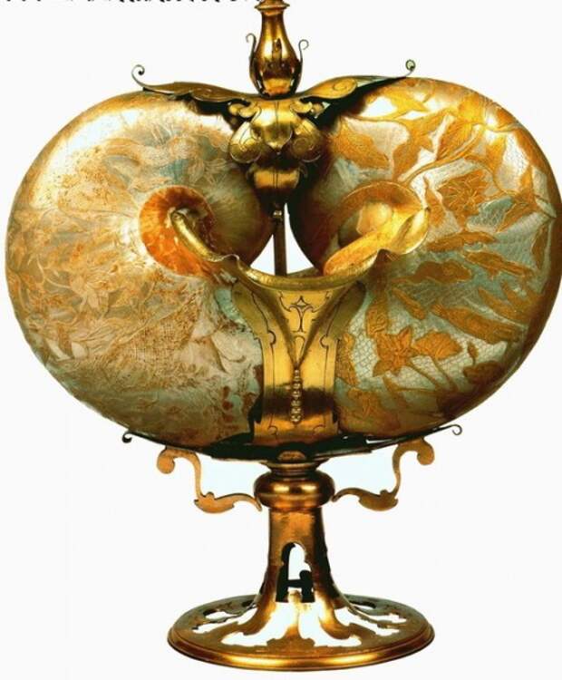 64673775_1285826873_68