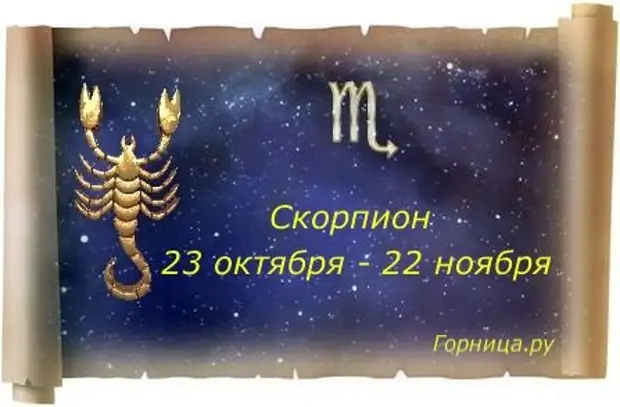 Карма скорпиона. Высшее предназначение. Карма скорпиона. Магические способности скорпиона. Гвинейский императорский скорпион.