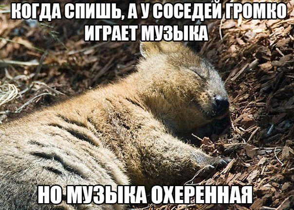 Смехотерапия. Поддержим лайком!
