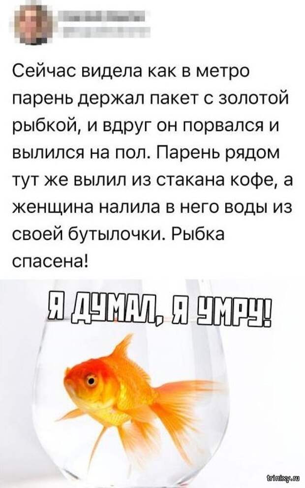 Социальные сети - кладезь юмора (20 фото)