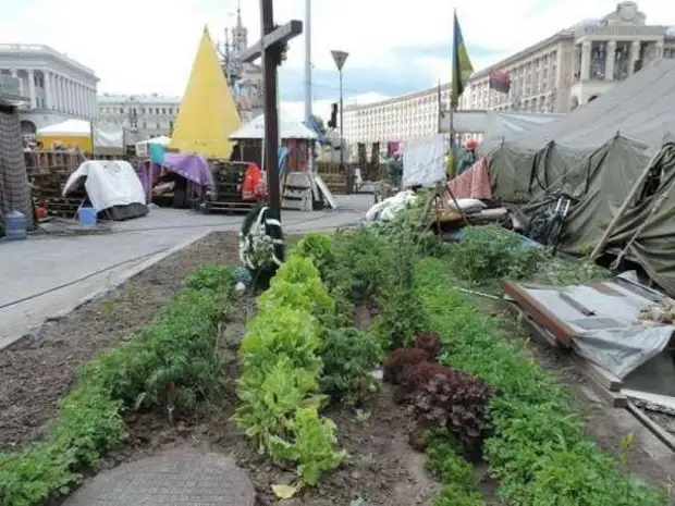 Народ-камикадзе в камикадзе-стране?