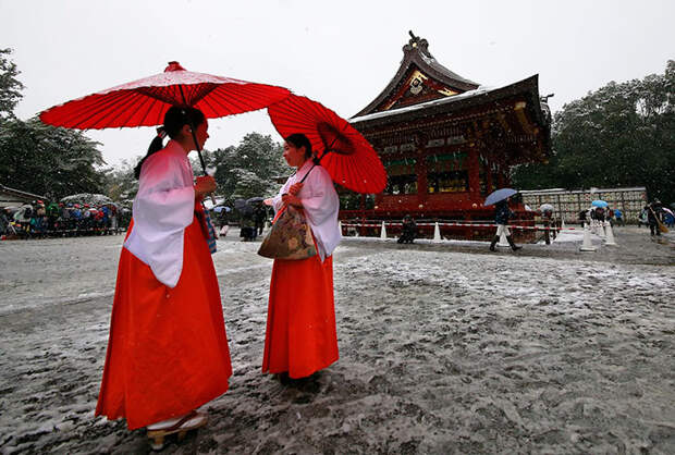 Tokyo First Snow In November 2016