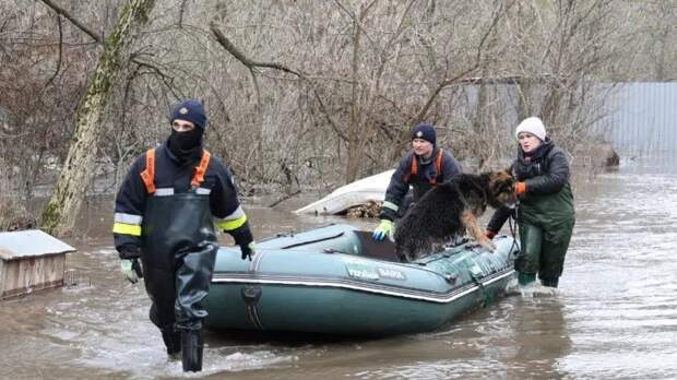 Весна не спасет: теплое время года грозит Украине еще более серьезными